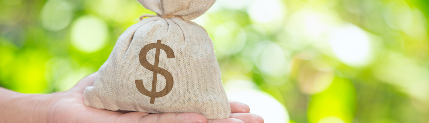 World Habitat Day,sack of coin on hand